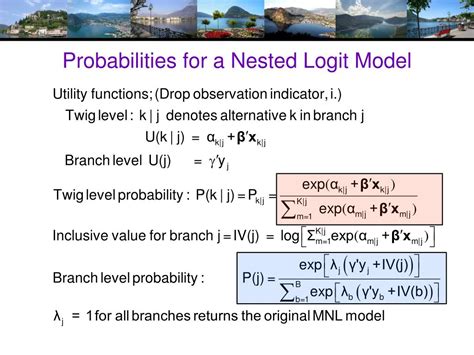 nested multinomial logit model